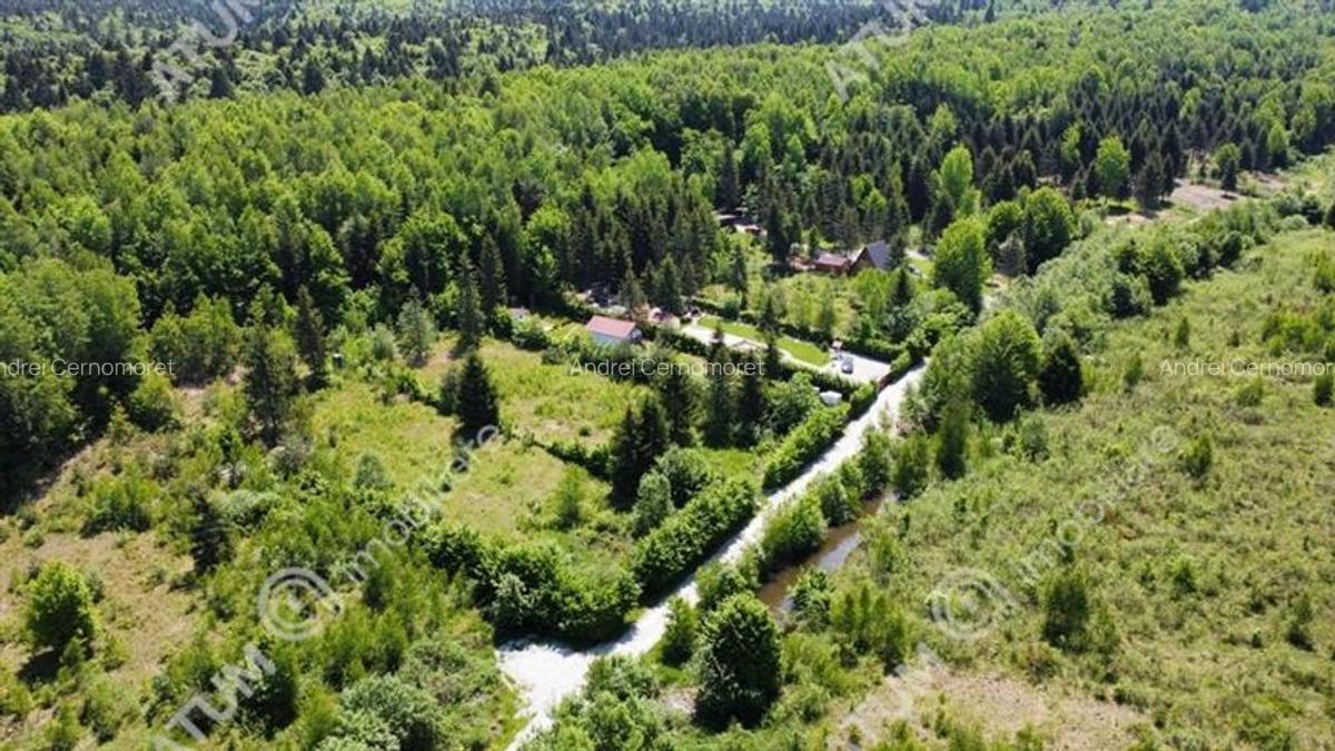 Teren intravilan 2600 mp de vanzare pe Valea Avrigului - 3