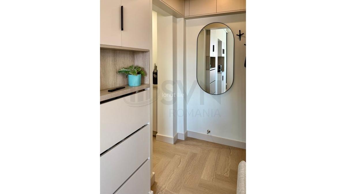 REA1024293 Apartament 2 camere Cismigiu I Plevnei - 9