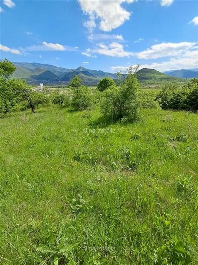 Teren  de vanzare la liziera padurii in Talmaciu - 11