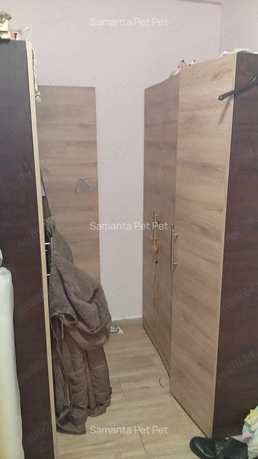 Ofer spre inchiriere apartament cu o cam vivo - 2