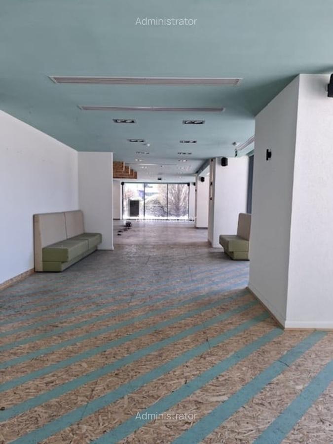 Spatiul comercial, Fabrica de Glucoza, total 316,4 mp (parter+subsol) - 14