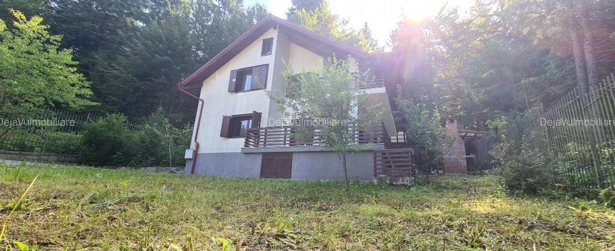 Vila Predeal New 2025 - 4