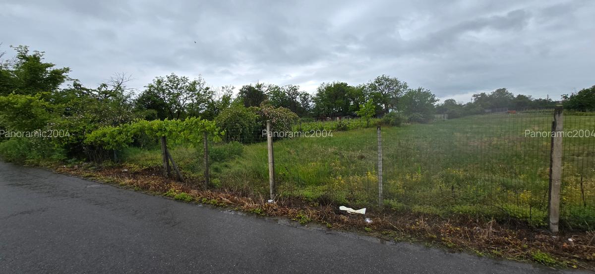 Casa si teren intravilan 4200 mp  Cotesti - 24