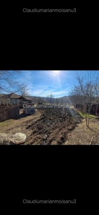 Casă batranească de vânzare - 7