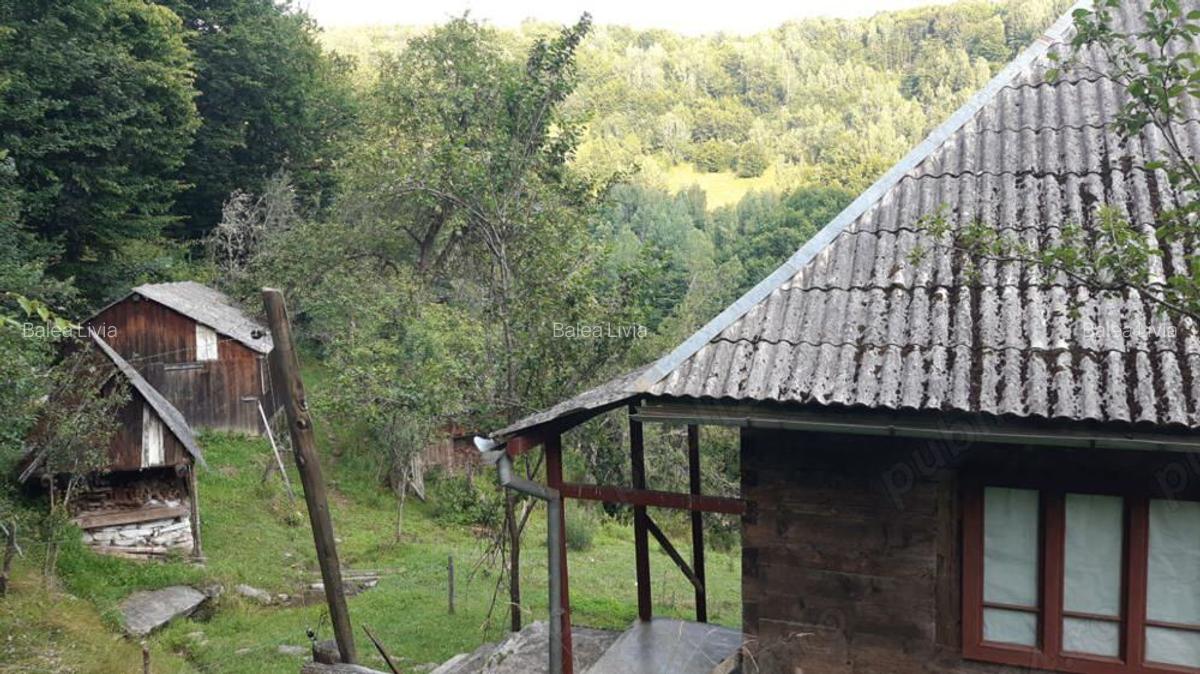Vand casa in Bistra - 10