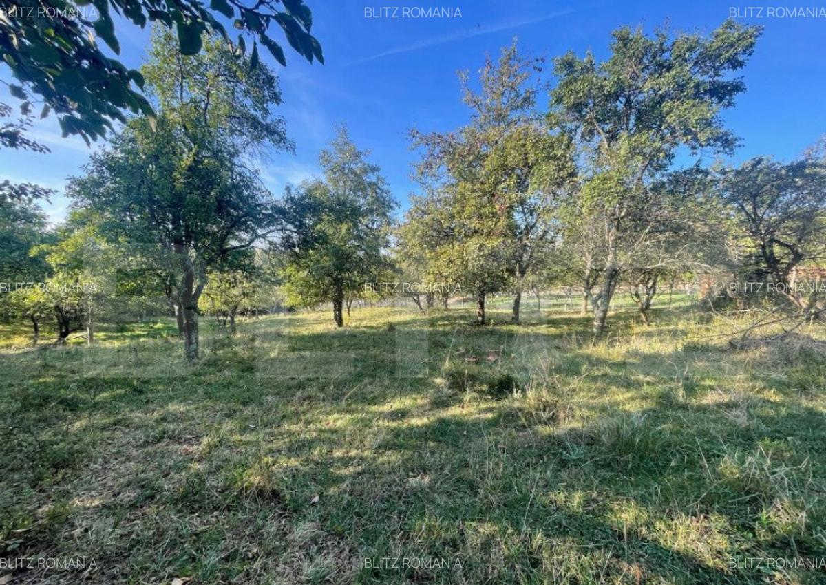 Casa de vanzare, 70 mp , teren de 3000 mp , Cacova Ierii - 14