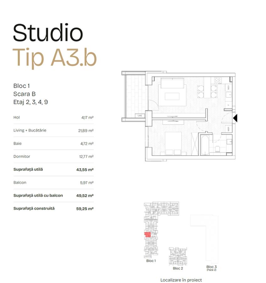Prima Astera- studio- cesiune - 4