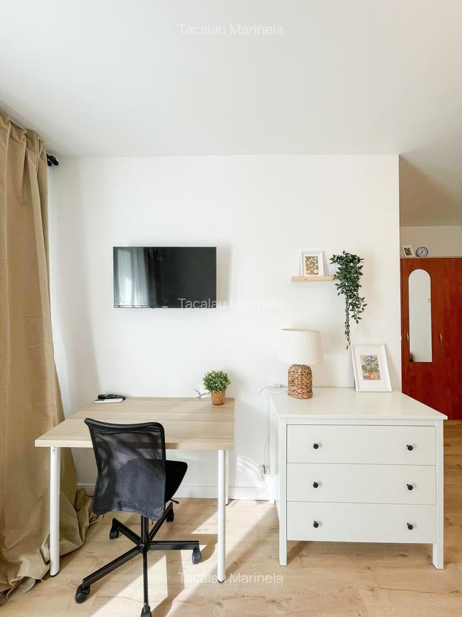 Garsoniera disponibila zona Piata Victoriei / Banu Manta - 11