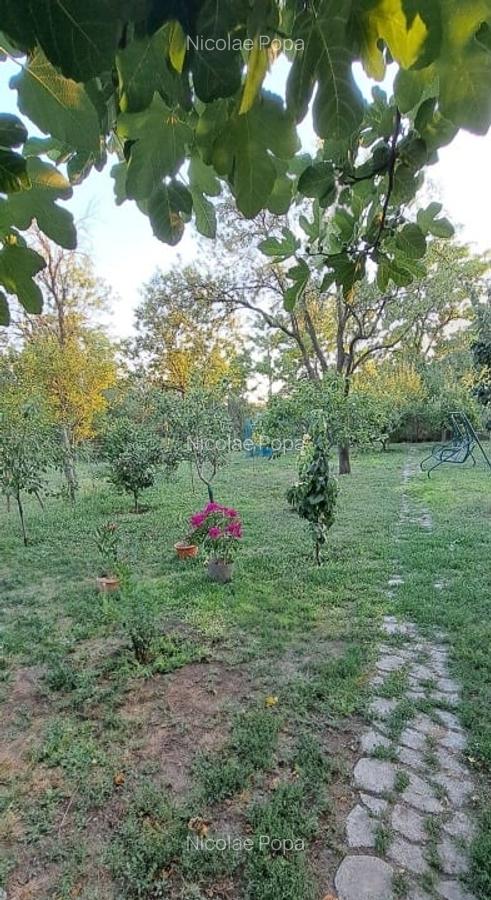 Gospodarie (casa si teren) com. Gura Vadului, Prahova - 9