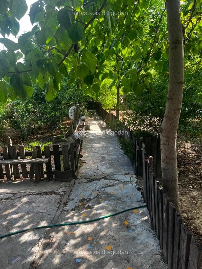 Casă cu 500 mp teren, panouri solare – Almalău, jud. Constanța 🌳☀️ - 2