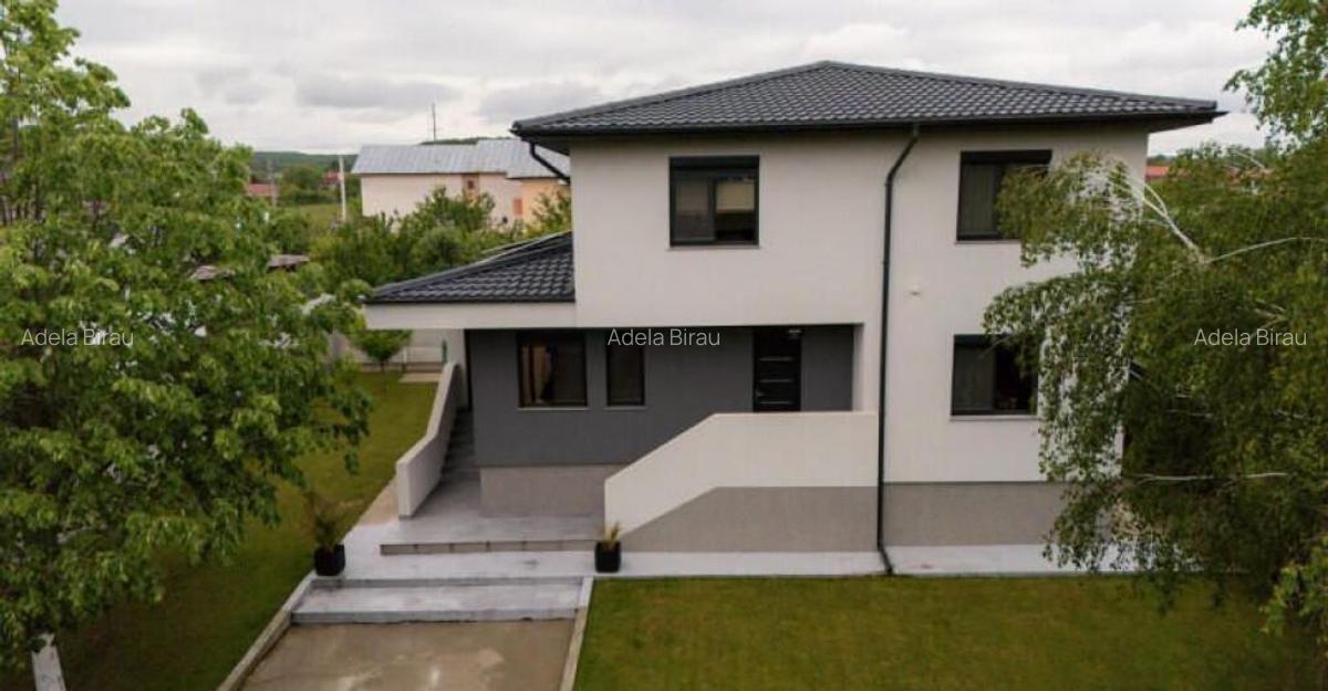 Bascov - Labusesti, Casa P+E, garaj, teren 809 mp - 1