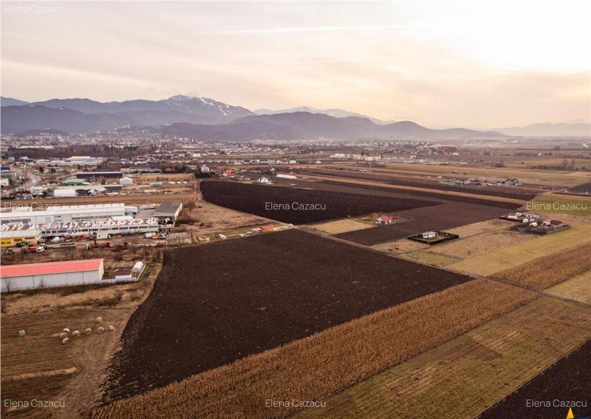 Film!Potential rezidential investitional, 5.000 mp intravila - 6