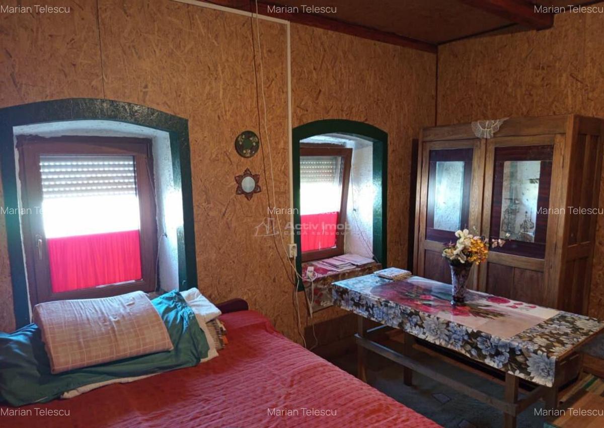 Ilidia, Casa de Vacanta, 3 Camere, 899mp Teren, Usor Negocia - 18