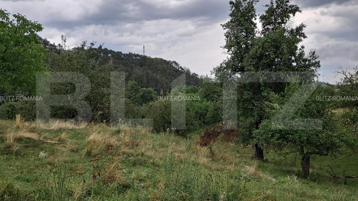 Proprietate in Iara 6.000  teren, ideala pentru casa sau investitie - 10