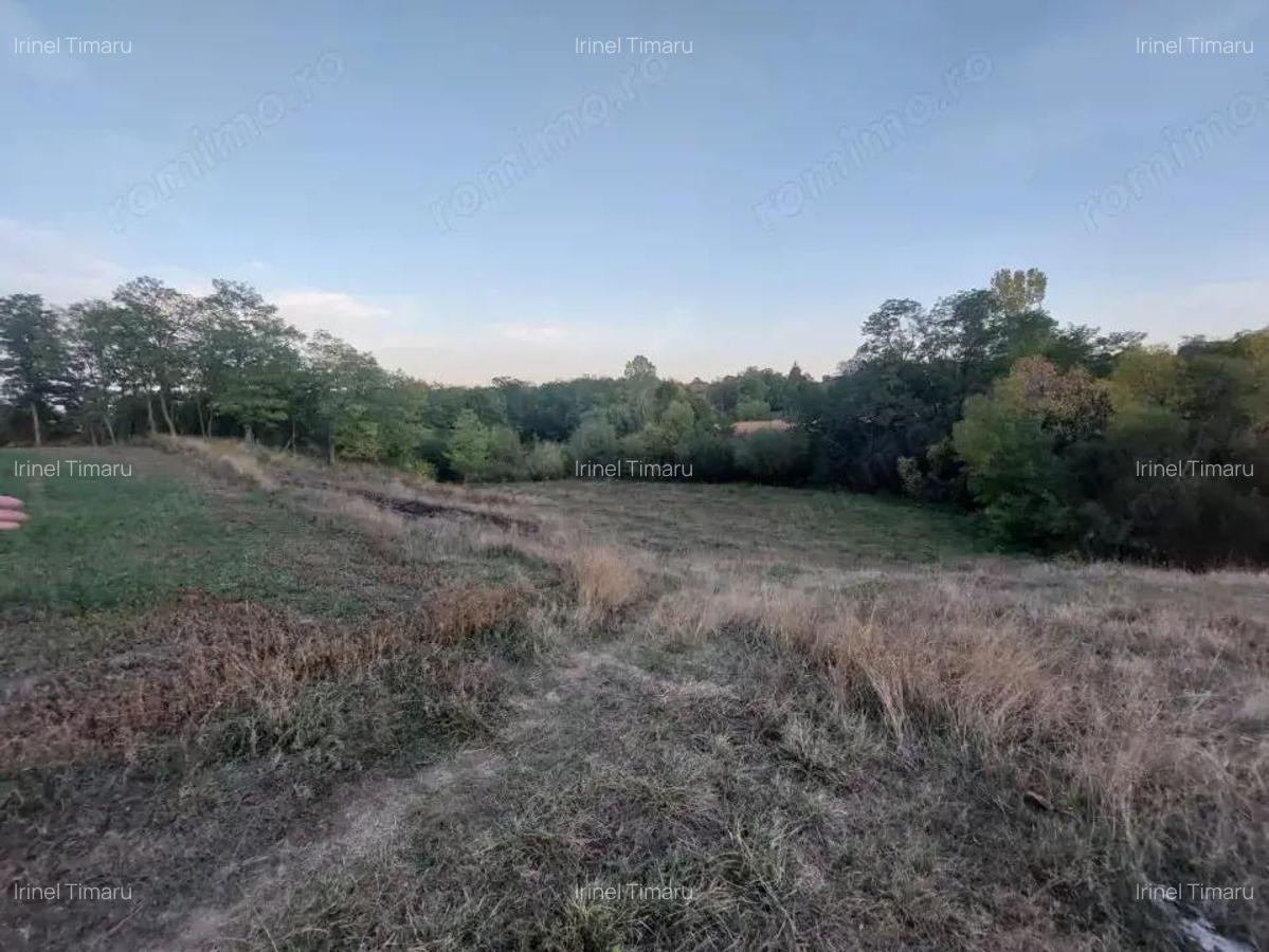 Casa batraneasca bine intretinuta in Bahna - 14