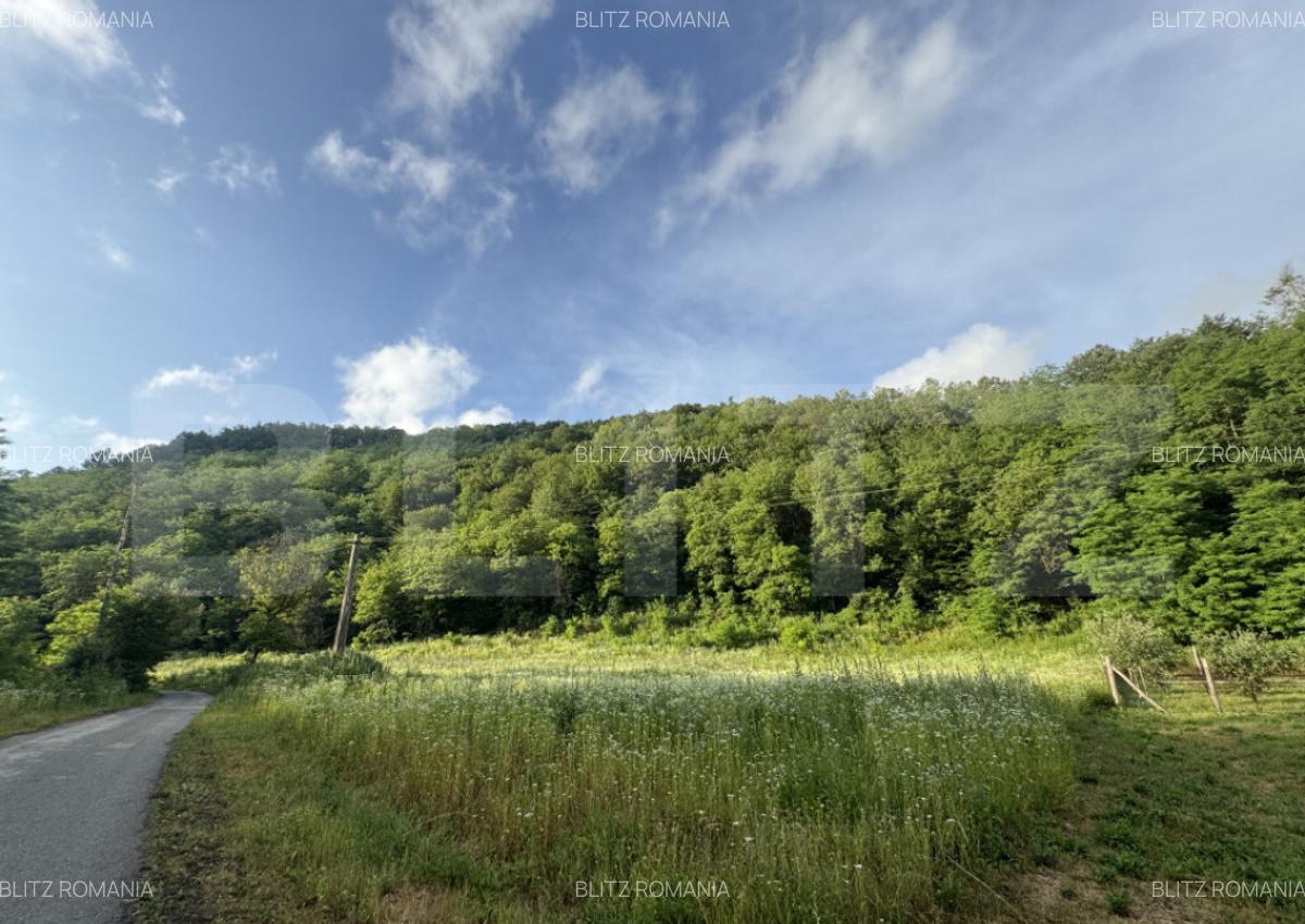 Teren intravilan de 4558 mp - 2