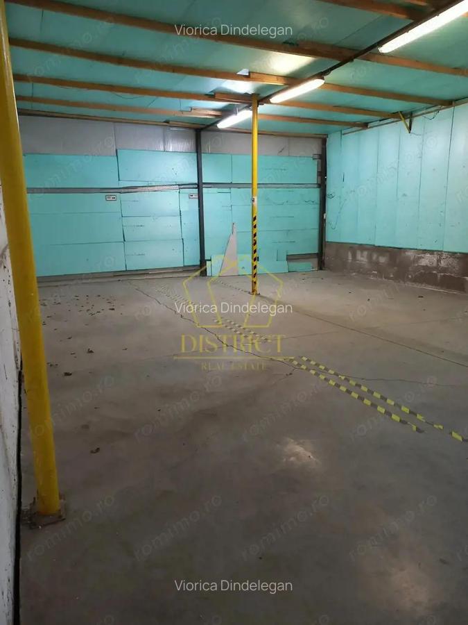 Spatiu Comercial tip Hala I Zona Lipovei - 11