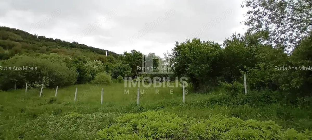 Teren intravilan | Budiu Mic | 994 mp - 5