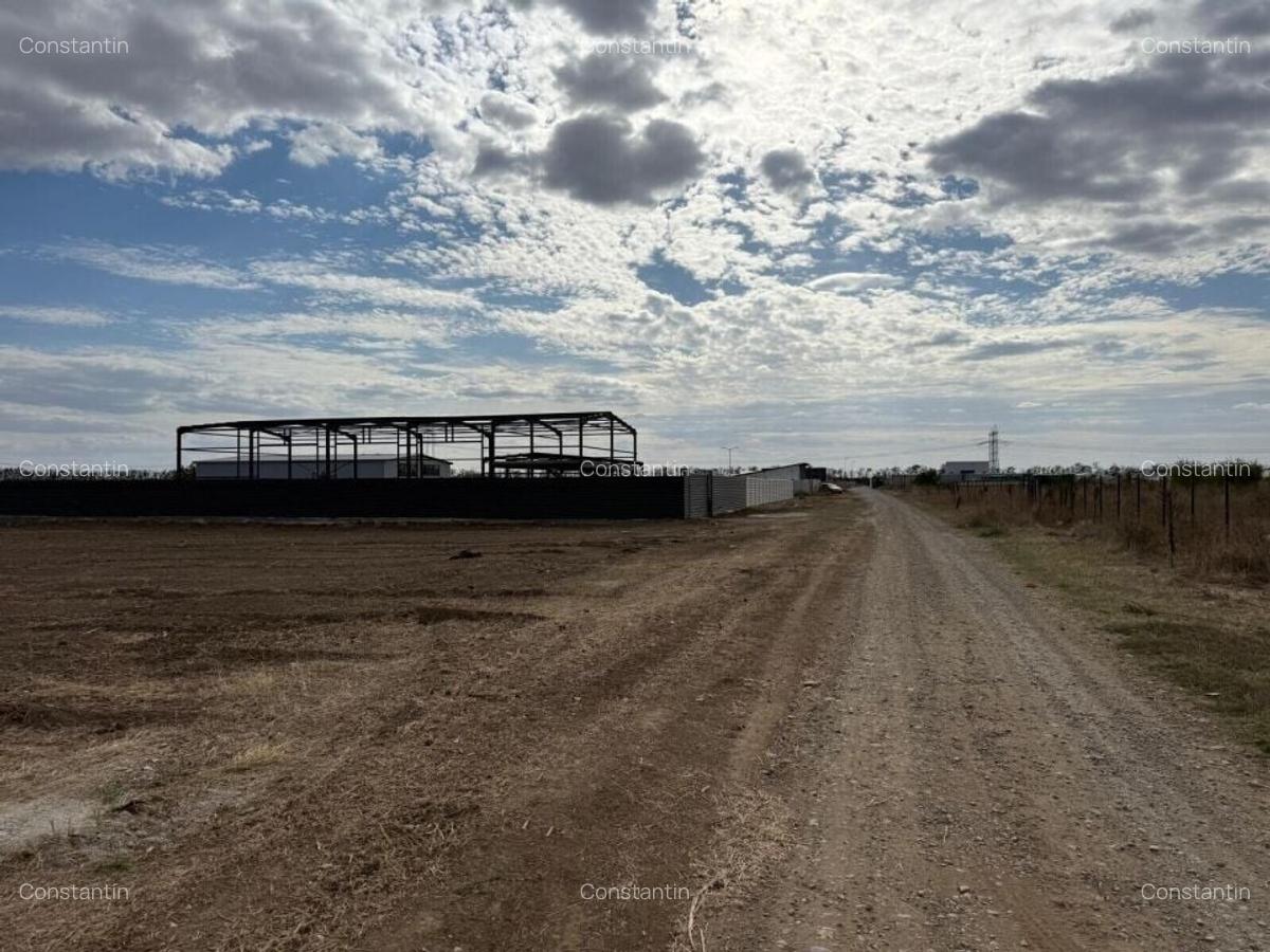 Teren DN4-A0 cu deschidere la Soseaua Oltenitei - 2
