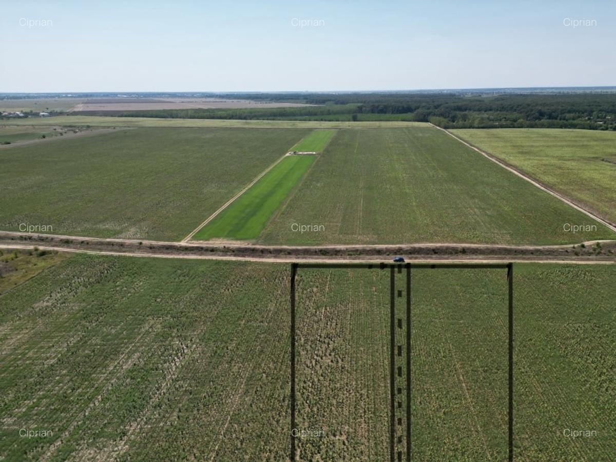 Teren intravilan langa padure Corbeanca Park - 5