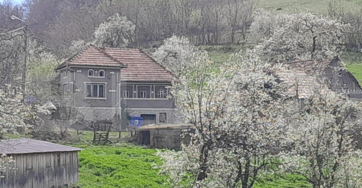 Casa individuala, 5500 mp teren, zona Vintu de Jos, Inuri - 5