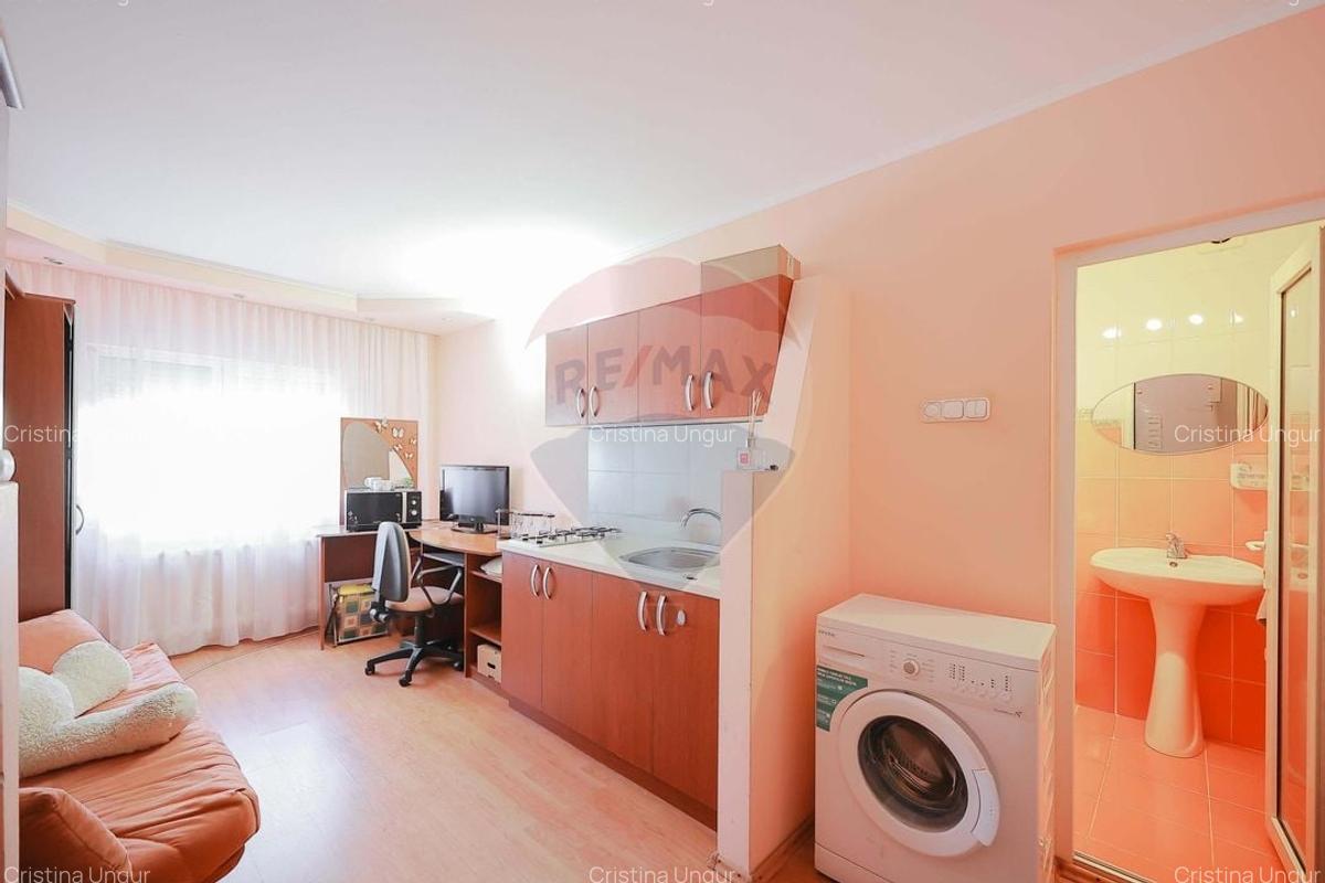 Apartament cu 3 camere + garsoniera de vanzare in zona Decebal - 13
