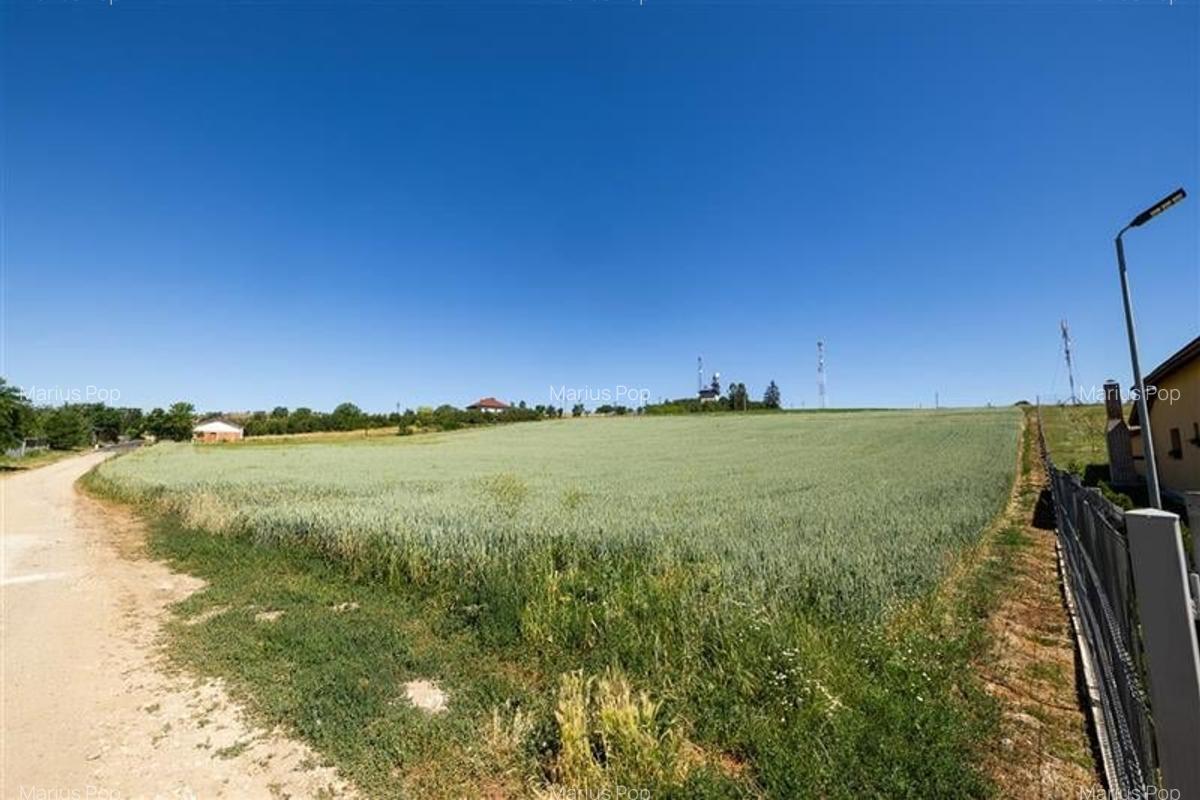 6 loturi casa Maierus,1.375mp,langa DN13, Doripesco,Brasov: 35min, zona verde:FI - 12