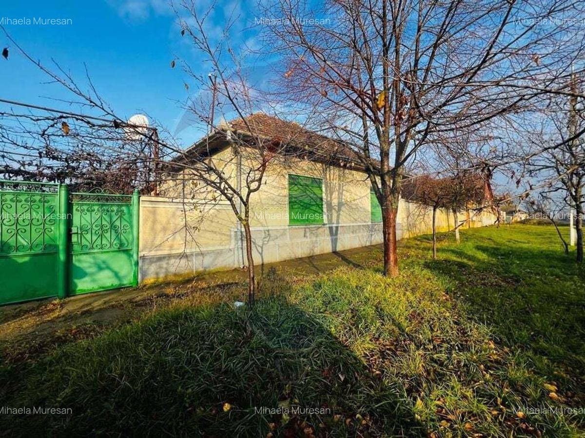 Casa 4 camere Seitin 2144 mp teren - 9