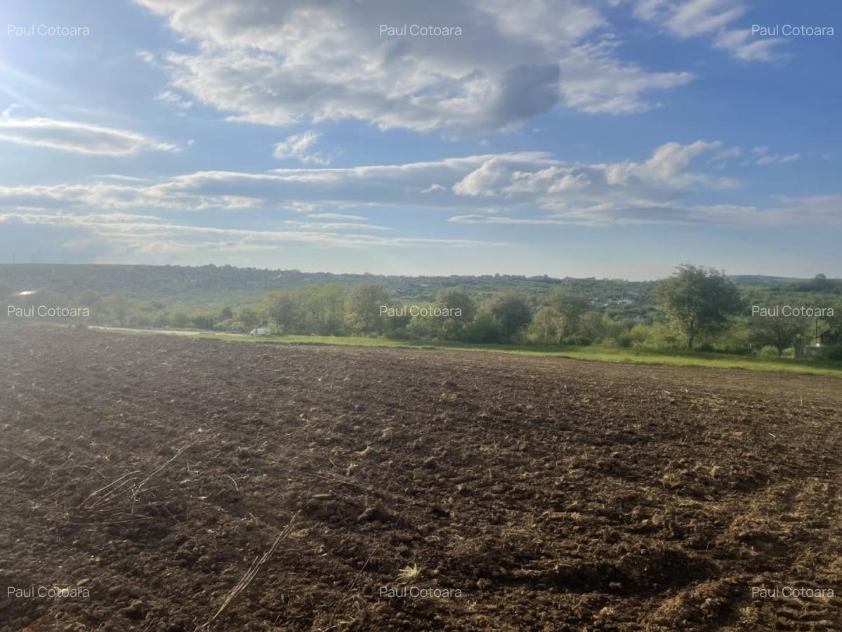 Vand Teren Intravilan, 2500 mp ,Zona Daia - 1