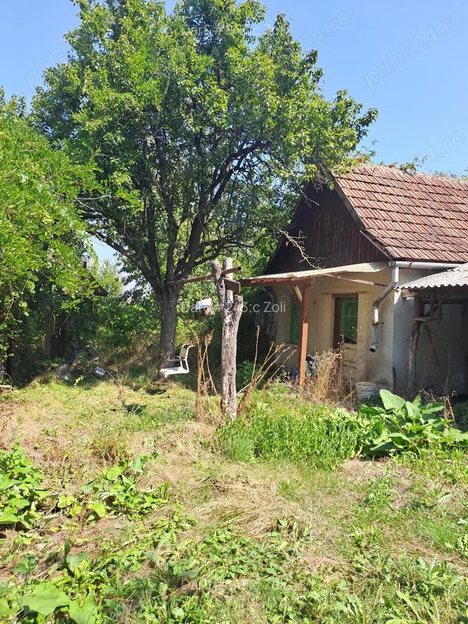 Casa de vanzare Diosig - 5