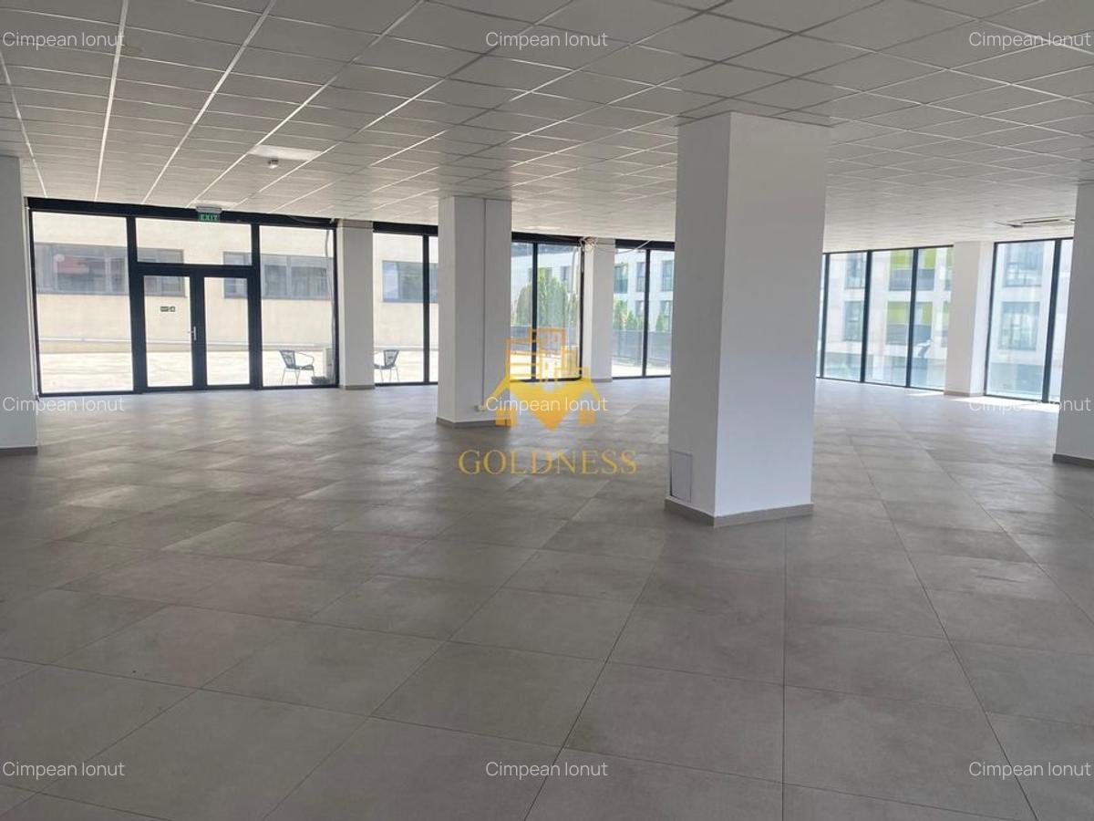 Spatiu comercial, Cartier Dambul Rotund, Lombului, Corneliu Coposu. - 1