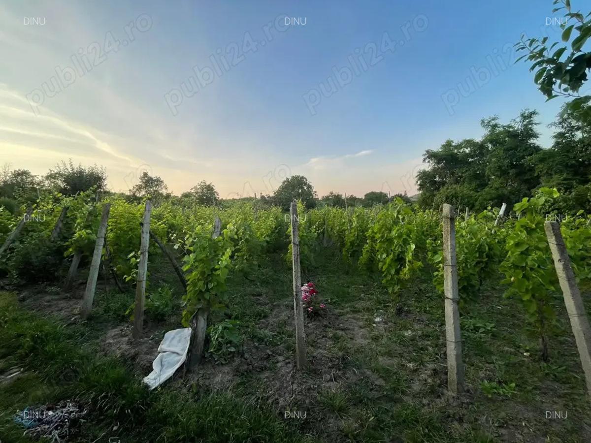 Vand casa parinteasca - 4