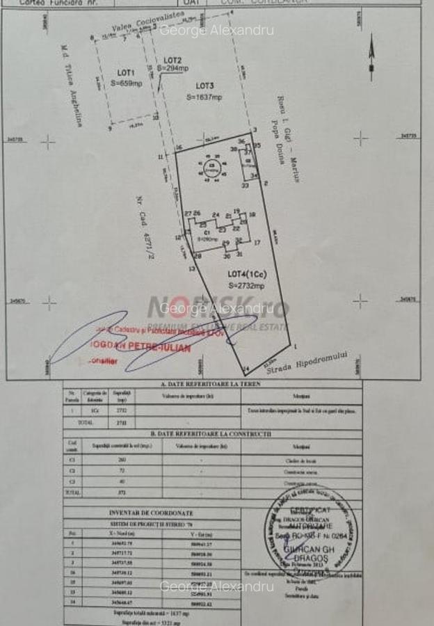 Vila de Vis in Corbeanca – Lux, Natura si Liniste, la un Pas de Lac! - 25