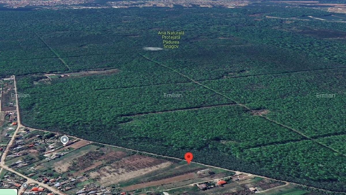 Teren intravilan 2000 mp,  Silistea Snagovului - Front PADURE( 38 ml Front - 2