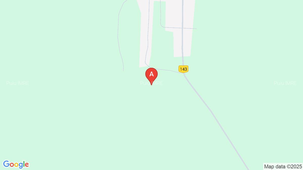 Ideal casă de vacanță - 1