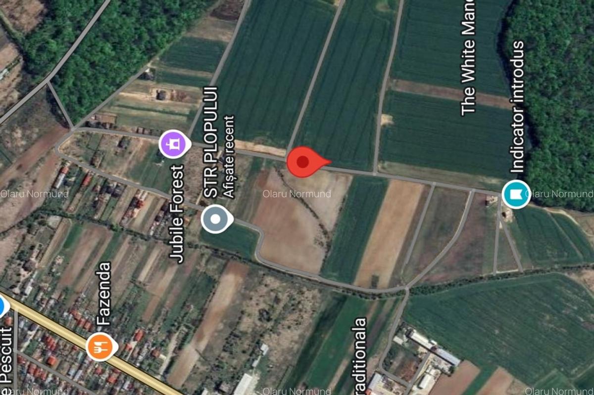 Teren intravilan ultimul lot de 700mp  Izvorani - Padurea Snagov - 2