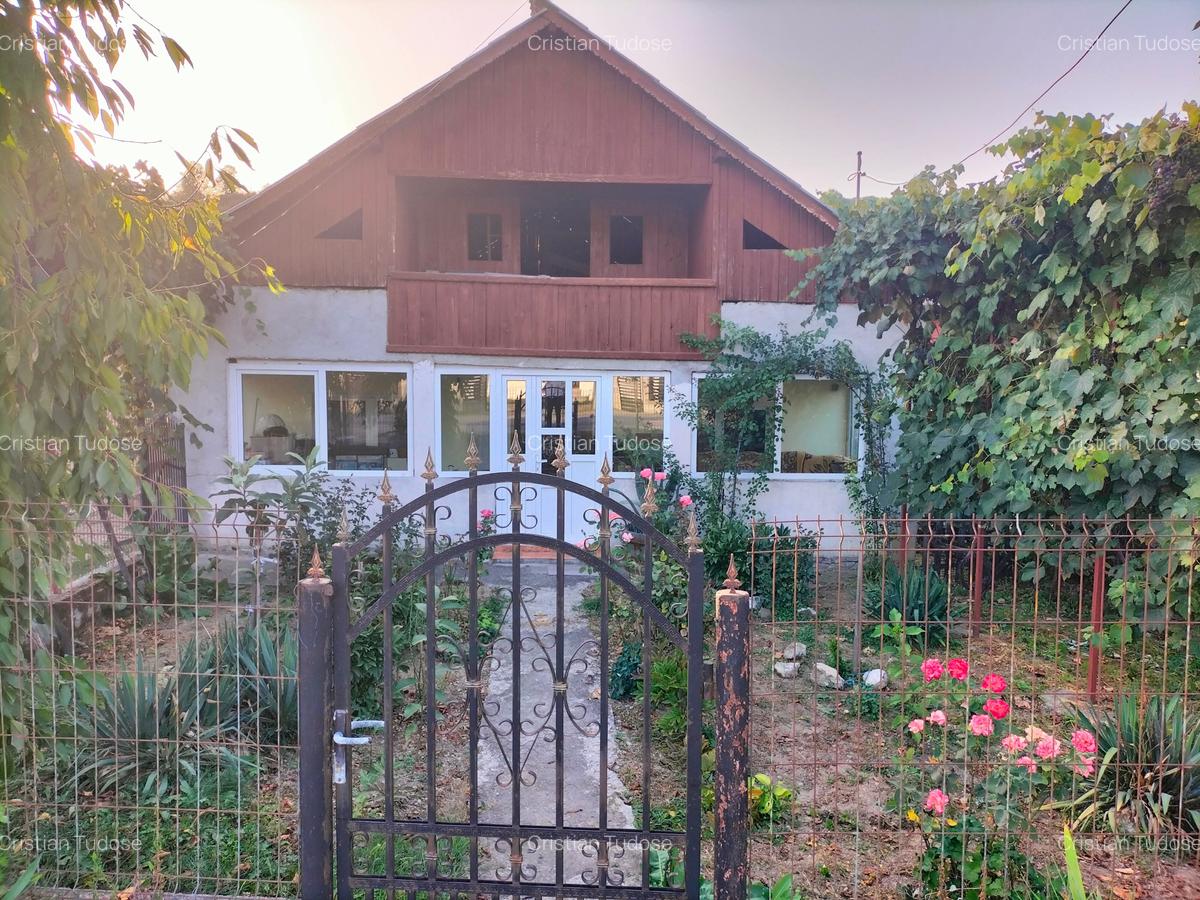 Casă la țară cu livadă, grădină și aer curat - Vulturești, Argeș - 1