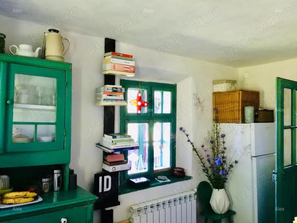 Investi?ie in natura > 2 case restaurate cu poten?ial de inchiriere si teren de 20.000 mp - 2