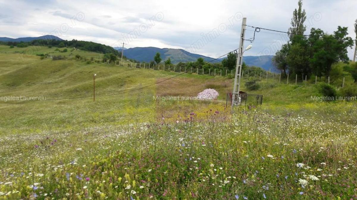 Teren intravilan de vanzare in Breaza (dezvoltare imobiliara) - 4