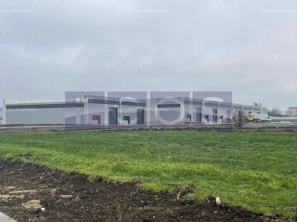 De inchiriat hala in Mogosoaia cu iesire la Centura Bucuresti - 1