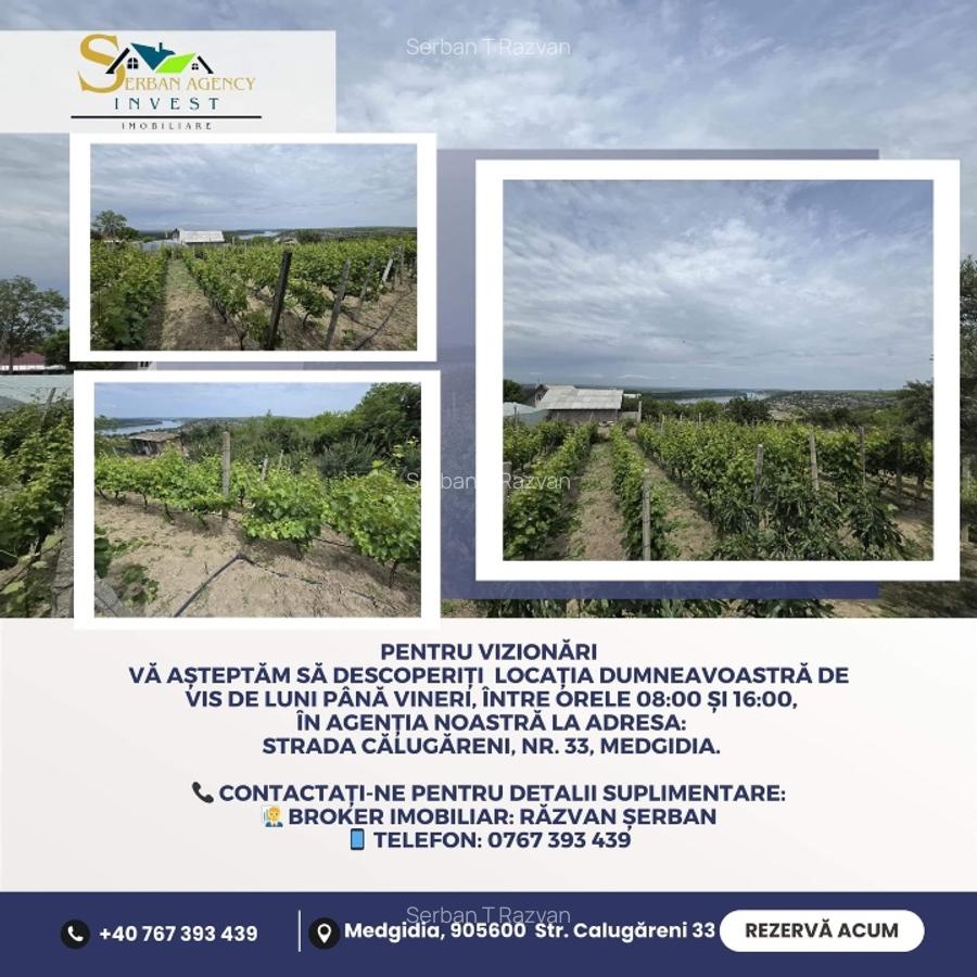 Casă de Vis în Satul Rasova, Constanța - 7