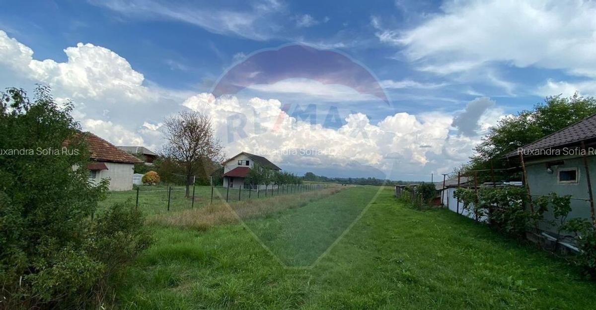 Teren 13,000mp Satulung / Soseaua Principala - 6