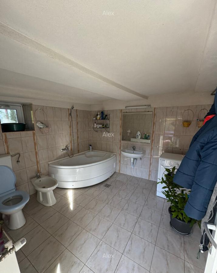 Casa la poalele mun?ilor, pe malul raului - 4