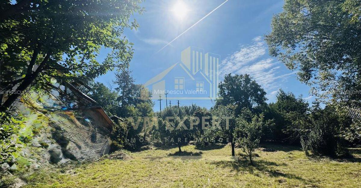 TEREN INTRAVILAN 3234 MP LERE?TI VOINE?TI ARGE? - 4