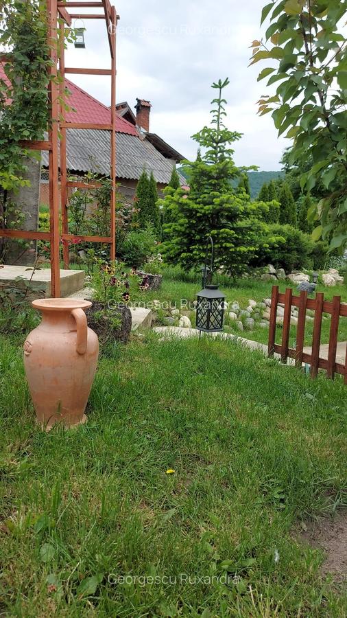 Casa individaual renovata, curte amenjata Boteni de Arges - 10