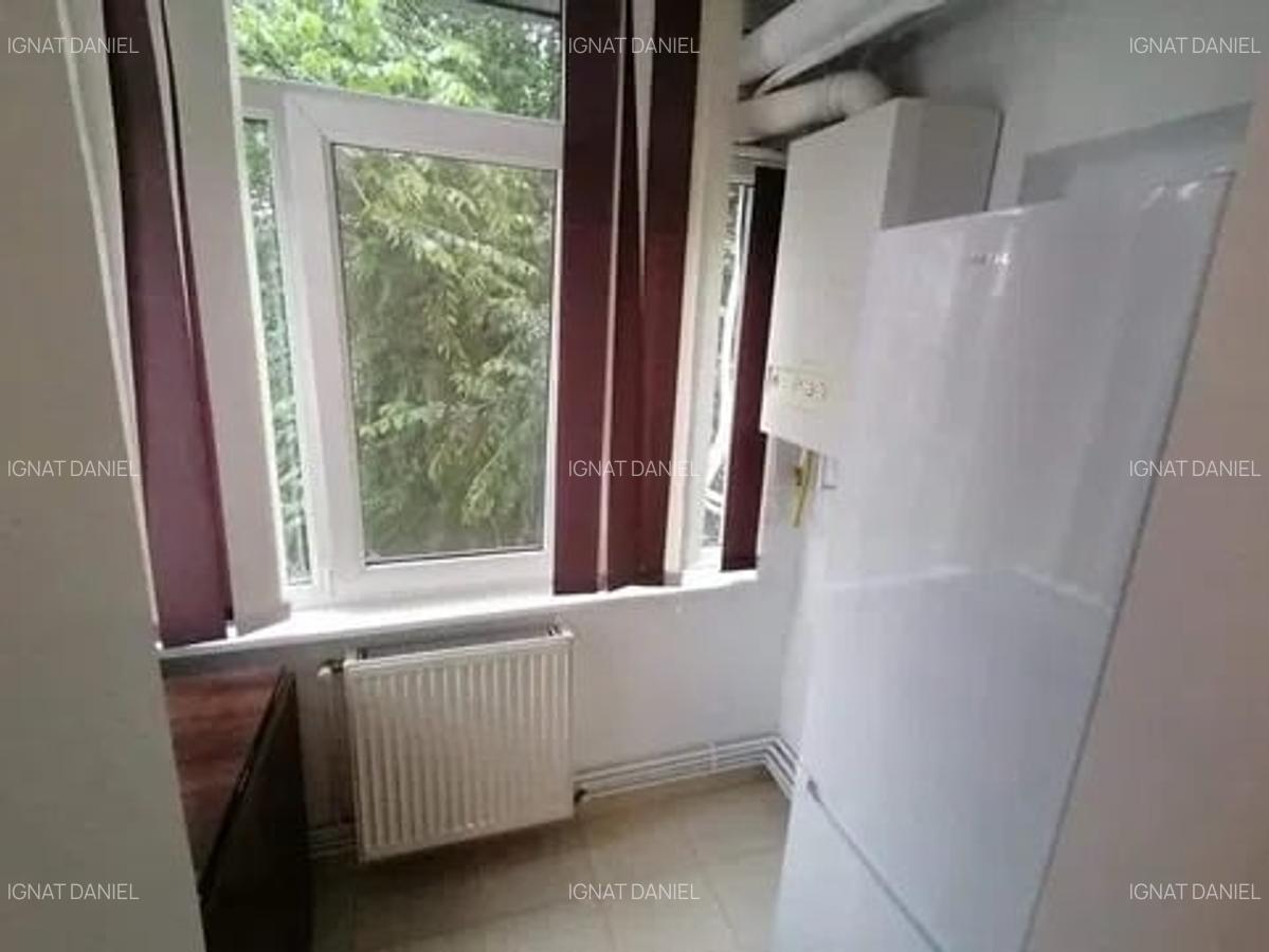 Apartament cu 2 camere, decomandat, zona Nicolina-Lidl - 4