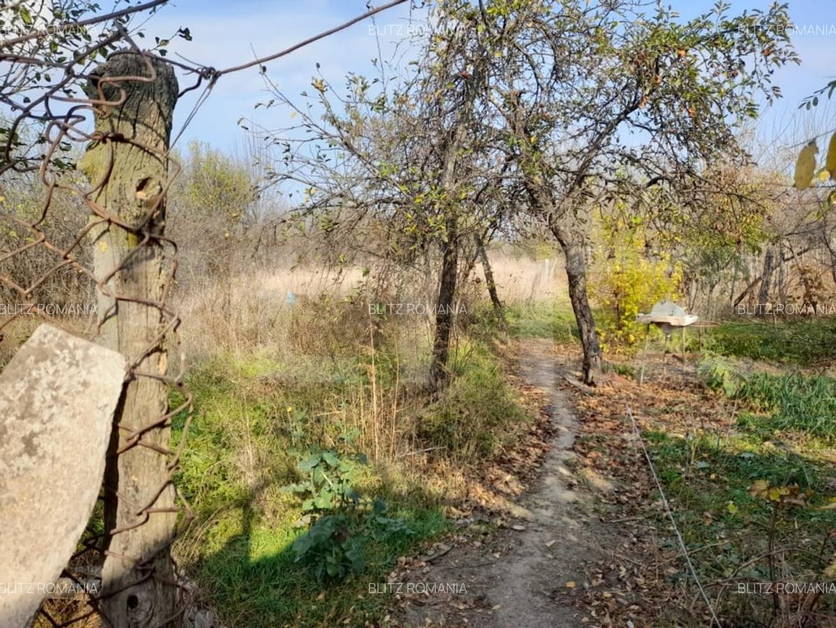 Teren 1160 mp + casa batraneasca, zona Cosoveni - 3