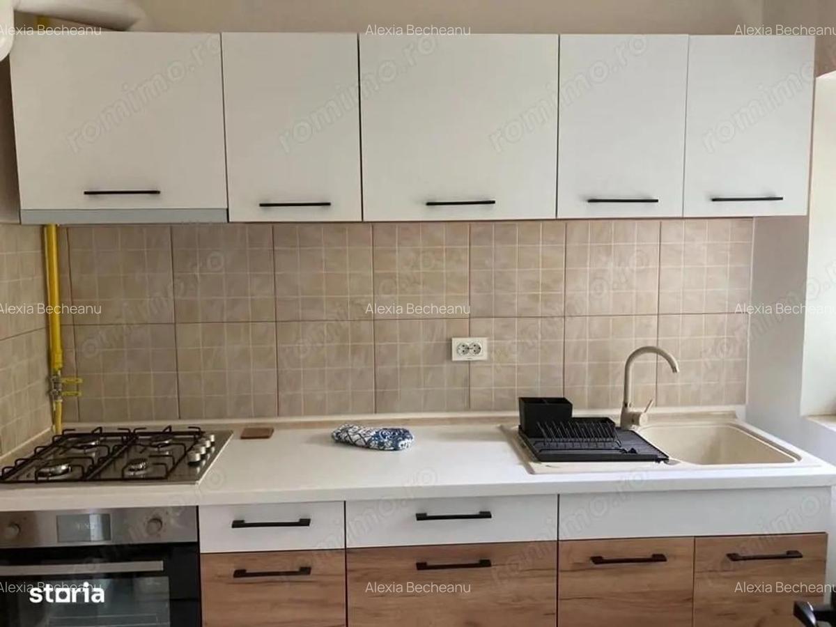 Apartament 2 Camere in Vila Baneasa, Et. 1/1, 45 m2, Gradina, Renovat, Mobilat - 4