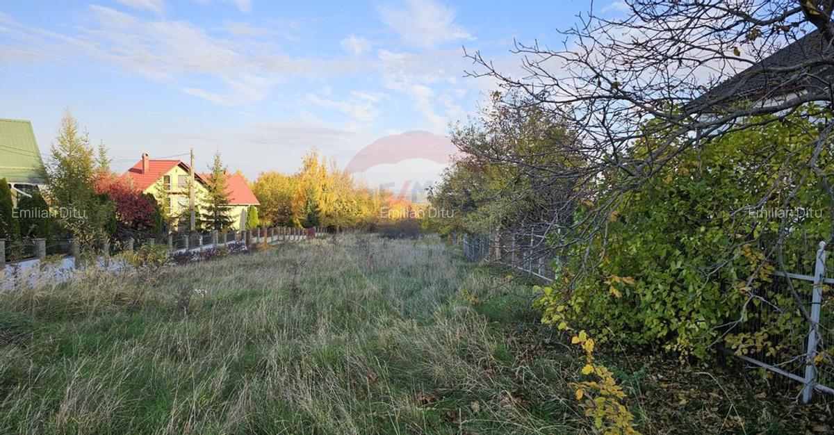 Teren intravilan 1,450mp Ilisesti / DN 17-Suceava - 12