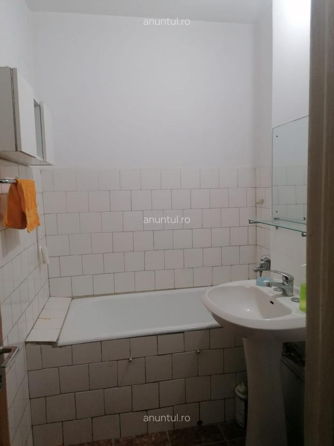 Obor, Colentina, stradal Teiul Doamnei 10 minute metrou - 11